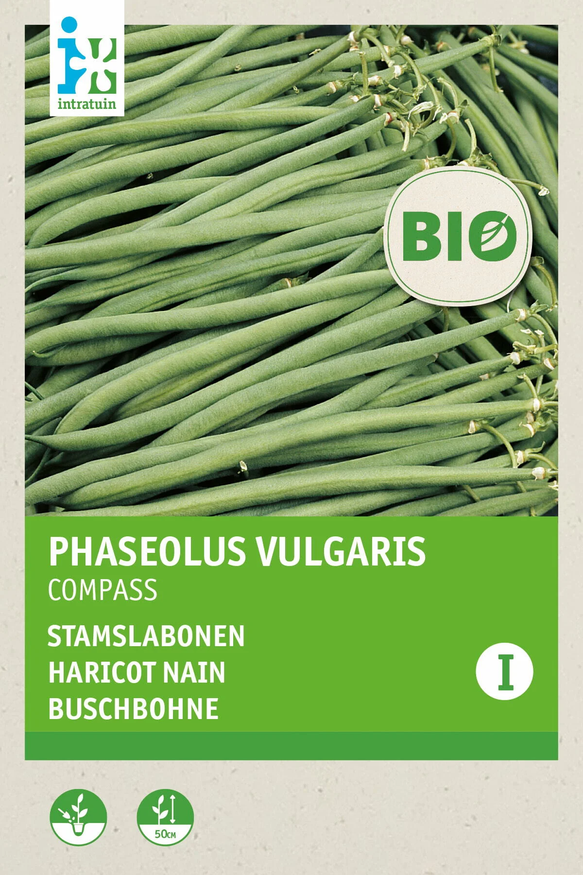 Biologische Intratuin groentezaad Stamslaboon (Phaseolus vulgaris 'Compass')