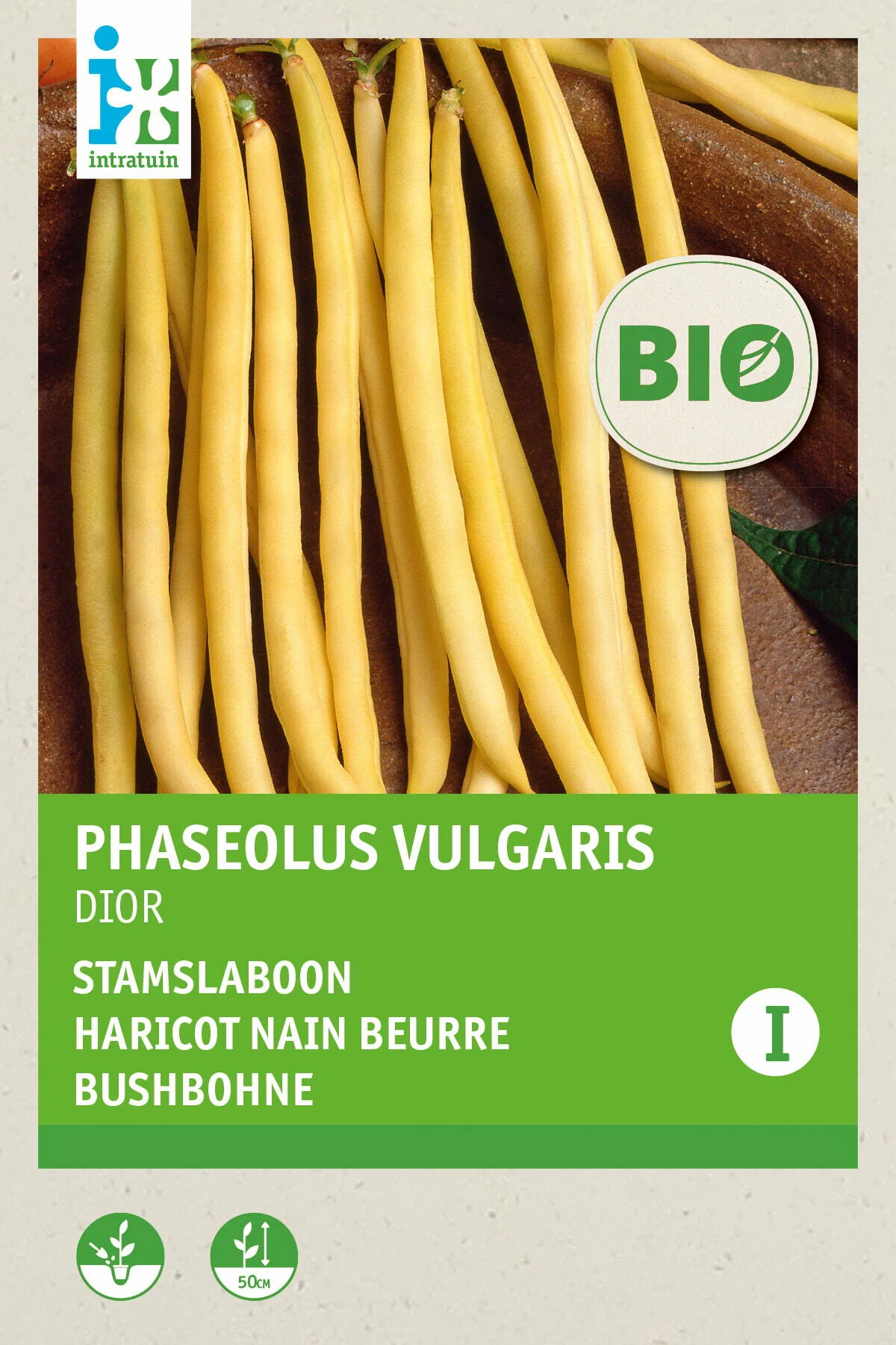 Biologische Intratuin groentezaad Stamslaboon geel (Phaseolus vulgaris 'Dior')