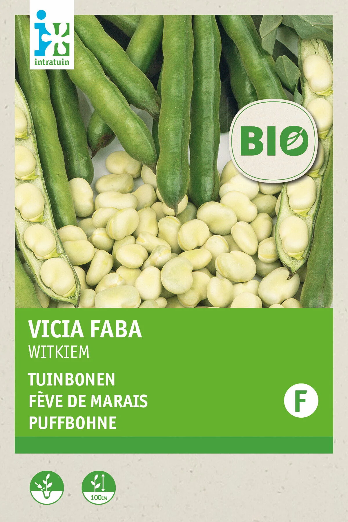 Biologische Intratuin groentezaad Tuinboon (Vicia faba 'Witkiem')
