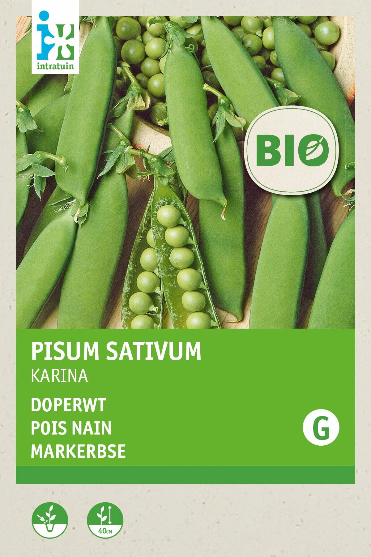 Biologische Intratuin groentezaad Doperwt (Pisum sativum 'Karina')