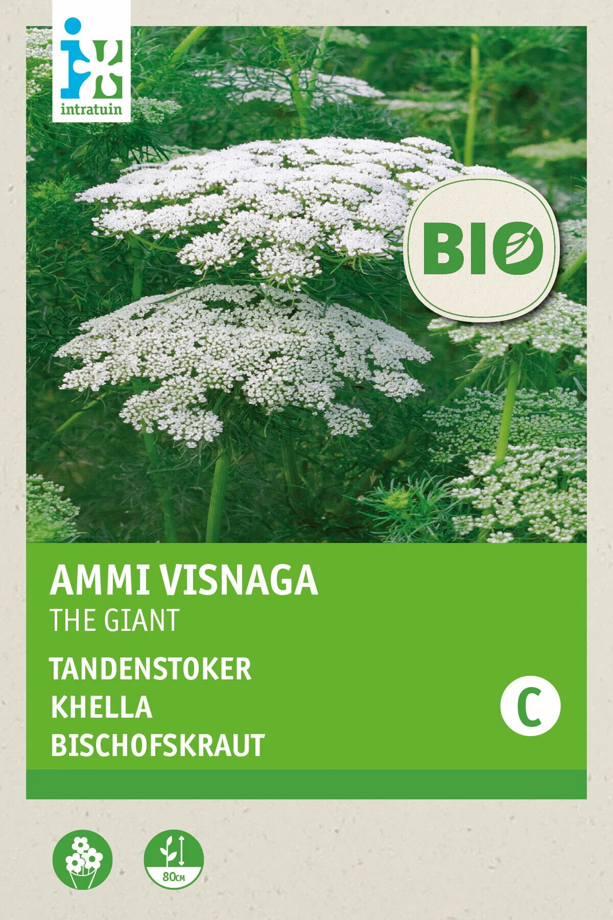 Biologische Intratuin bloemenzaad Fijn Akkerscherm (Ammi visnaga 'The Giant')