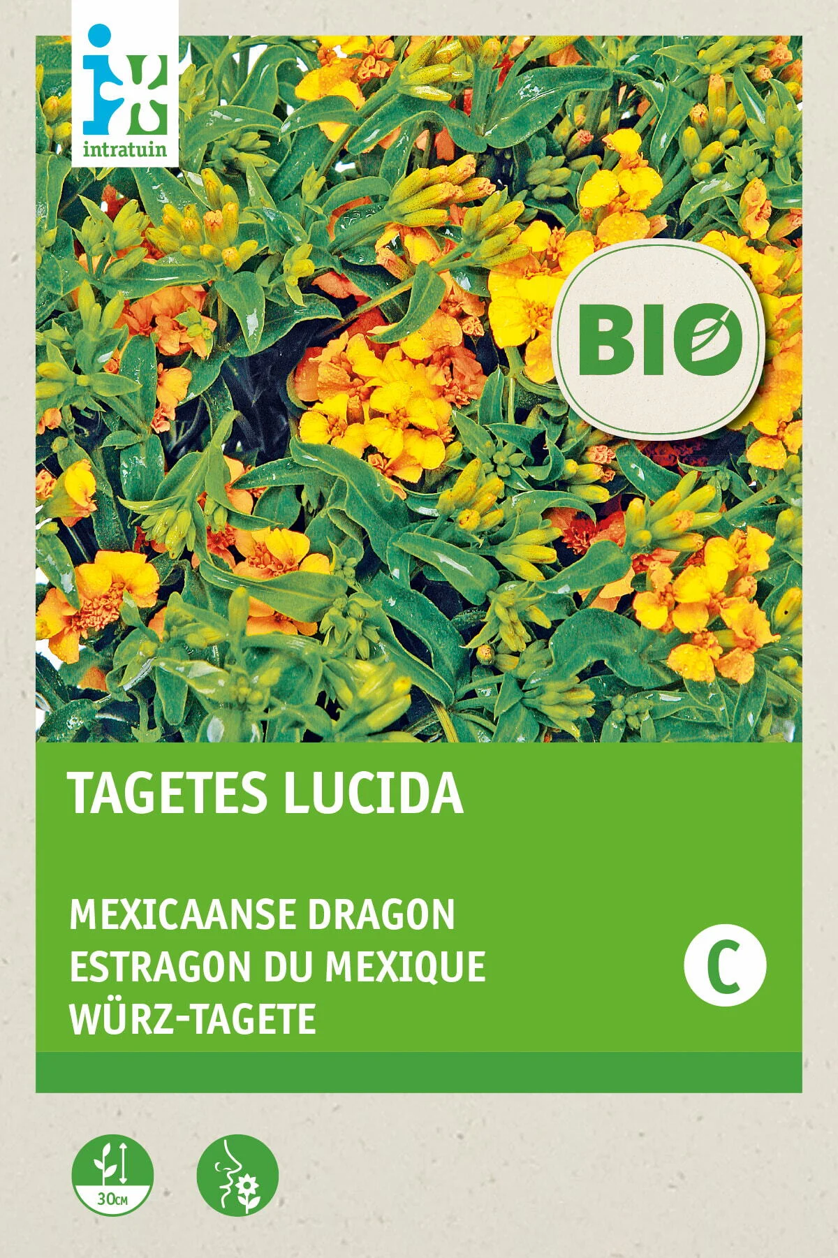 Biologische Intratuin kruidenzaad Mexicaanse Dragon (Tagetes lucida)