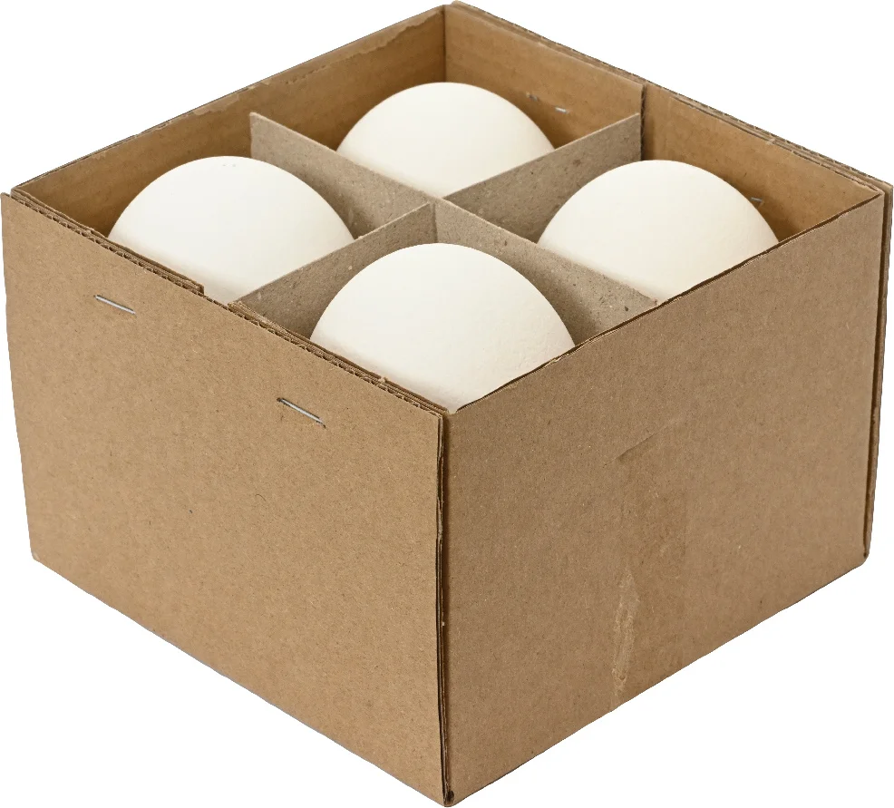 Decoris paasdecoratie ganzenei wit D 12 H 9 cm 4 stuks