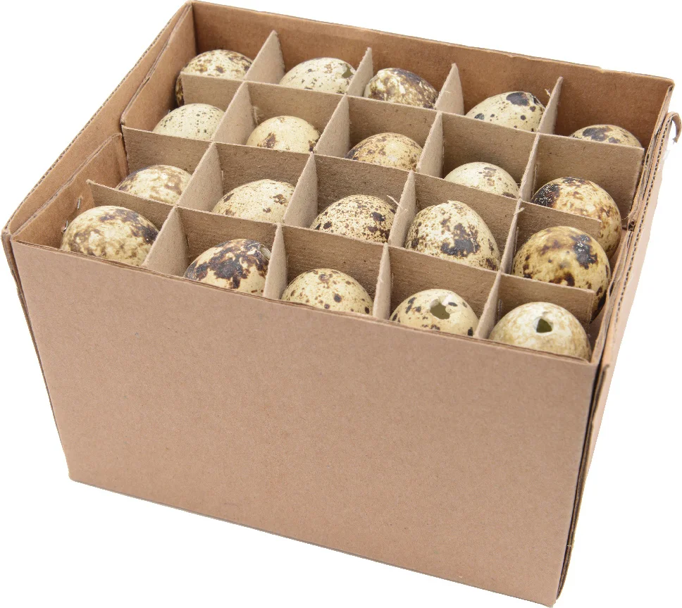 Decoris paasdecoratie kwartelei naturel 60 stuks