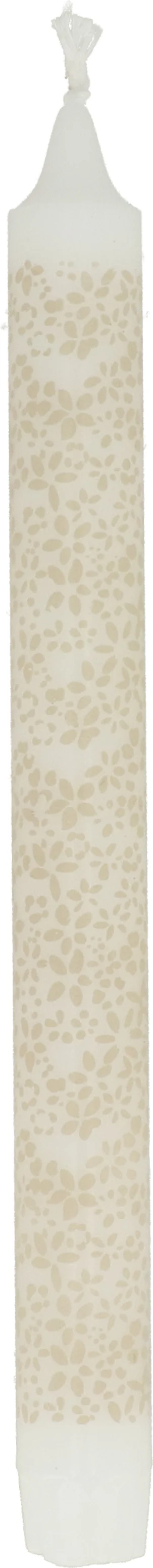 Dinerkaars Disty wit / beige 7 uur D 2,2 H 24 cm