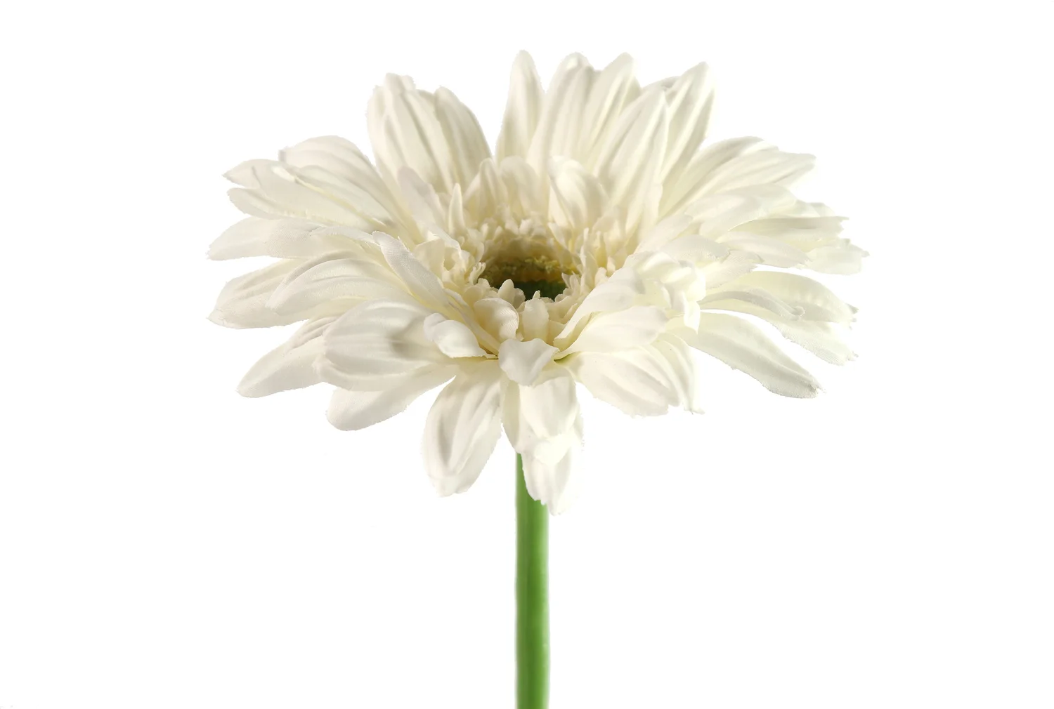 Countryfield kunstbloem Gerbera wit 63,5 cm