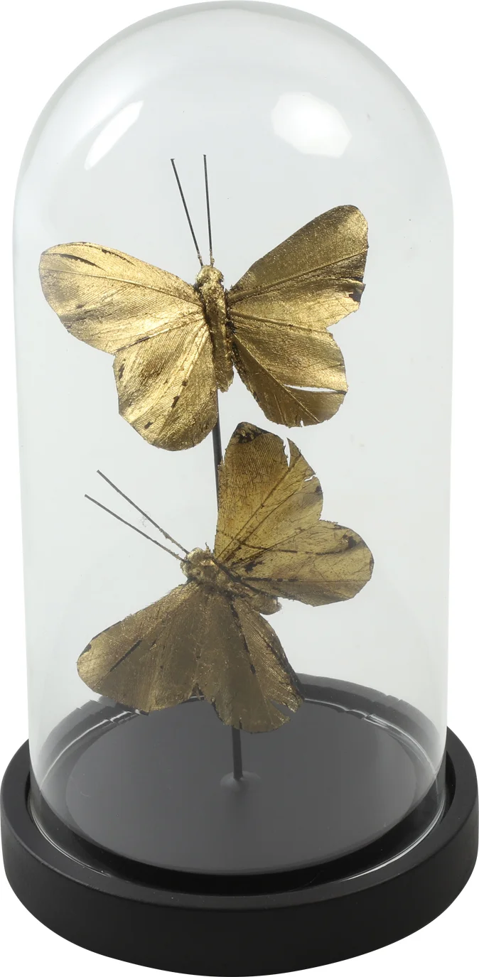 Countryfield glazen stolp Yasmin goud / zwart D 11,5 H 22 cm