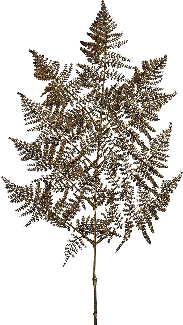 Countryfield kersttak pteropsida koper L 96 cm