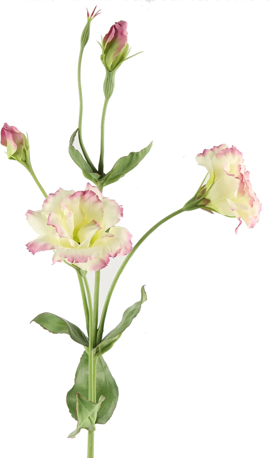 Countryfield kunstbloem Lisianthus wit / roze 94 cm