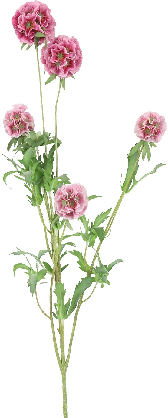 Countryfield kunstbloem Combretocarpus roze 97 cm