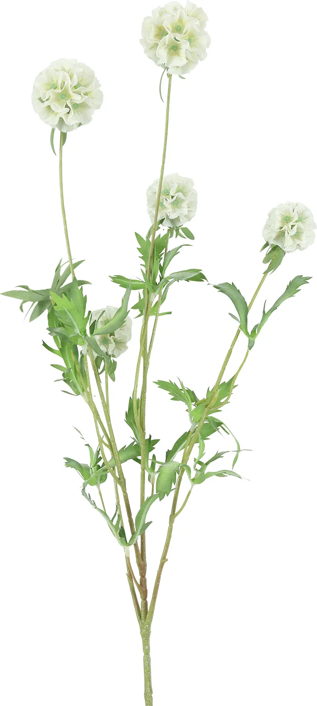Countryfield kunstbloem Combretocarpus wit 97 cm