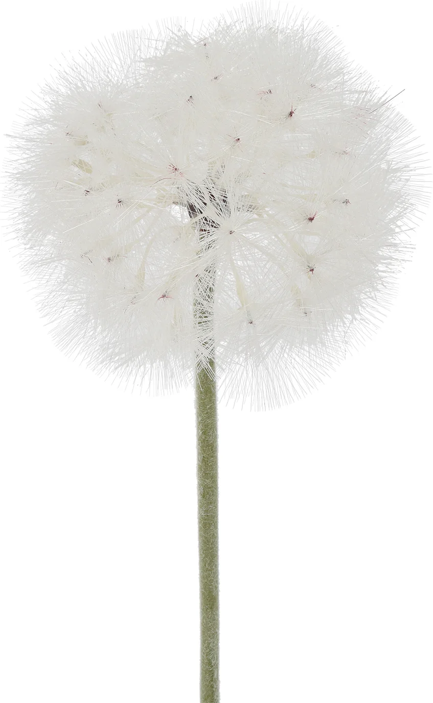 Countryfield kunstbloem Paardenbloem wit H 65 cm