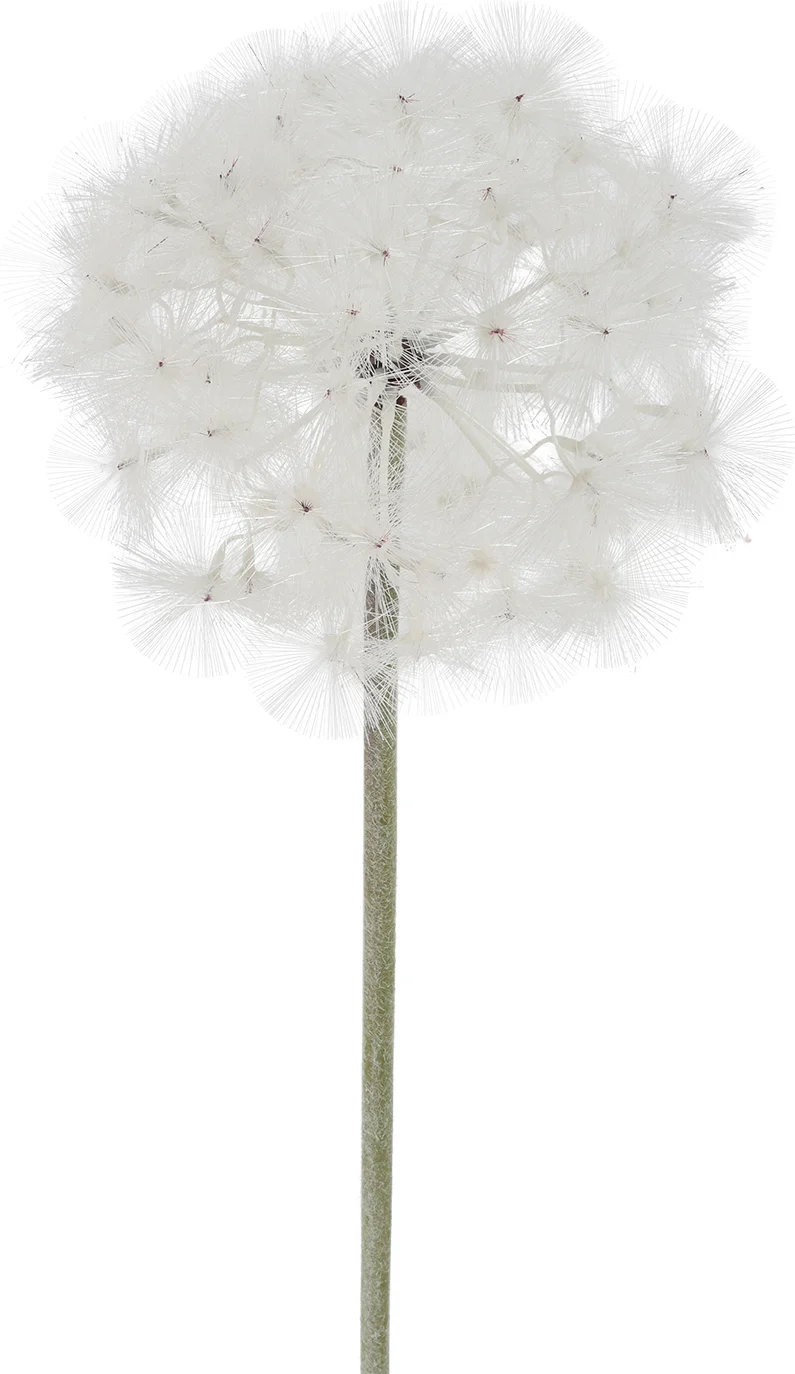 Countryfield kunstbloem Paardenbloem wit 87 cm
