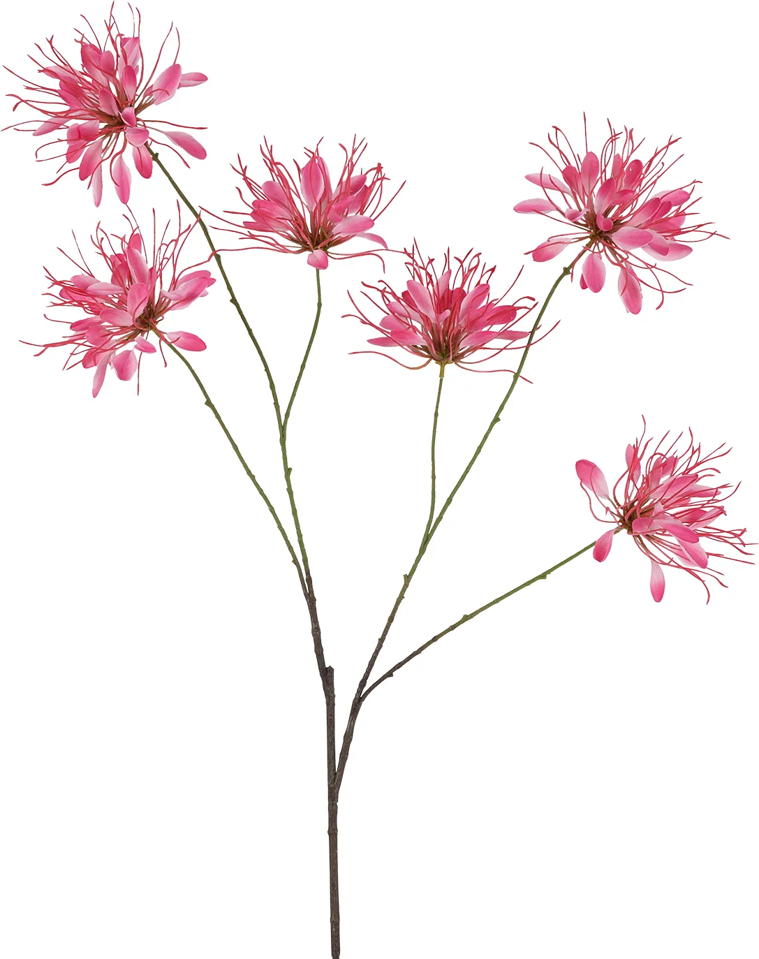 Countryfield kunstbloem Spinlelie roze 118 cm