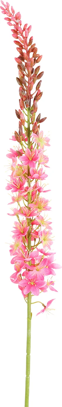 Countryfield kunstbloem Naald van Cleopatra roze 107 cm