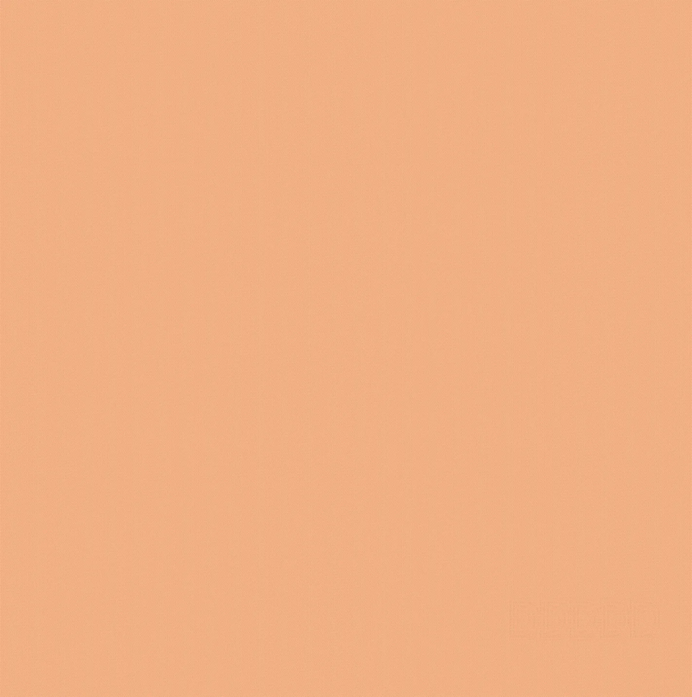 DDDDD theedoek Logo oranje 60 x 65 cm