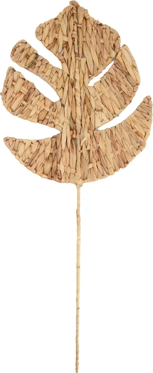 Dijk Natural Collections decoratieblad Gras naturel 58 x 31 x 0,6 cm