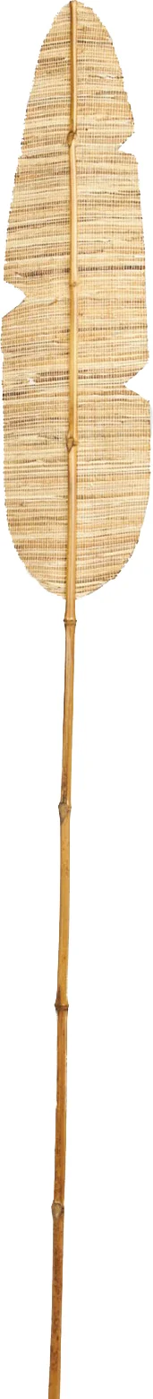 Dijk Natural Collections decoratieblad Hyacinth naturel 150 x 16 x 1 cm