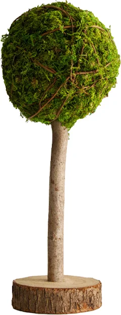 Dijk Natural Collections decoratieboom groen D 20 H 50 cm