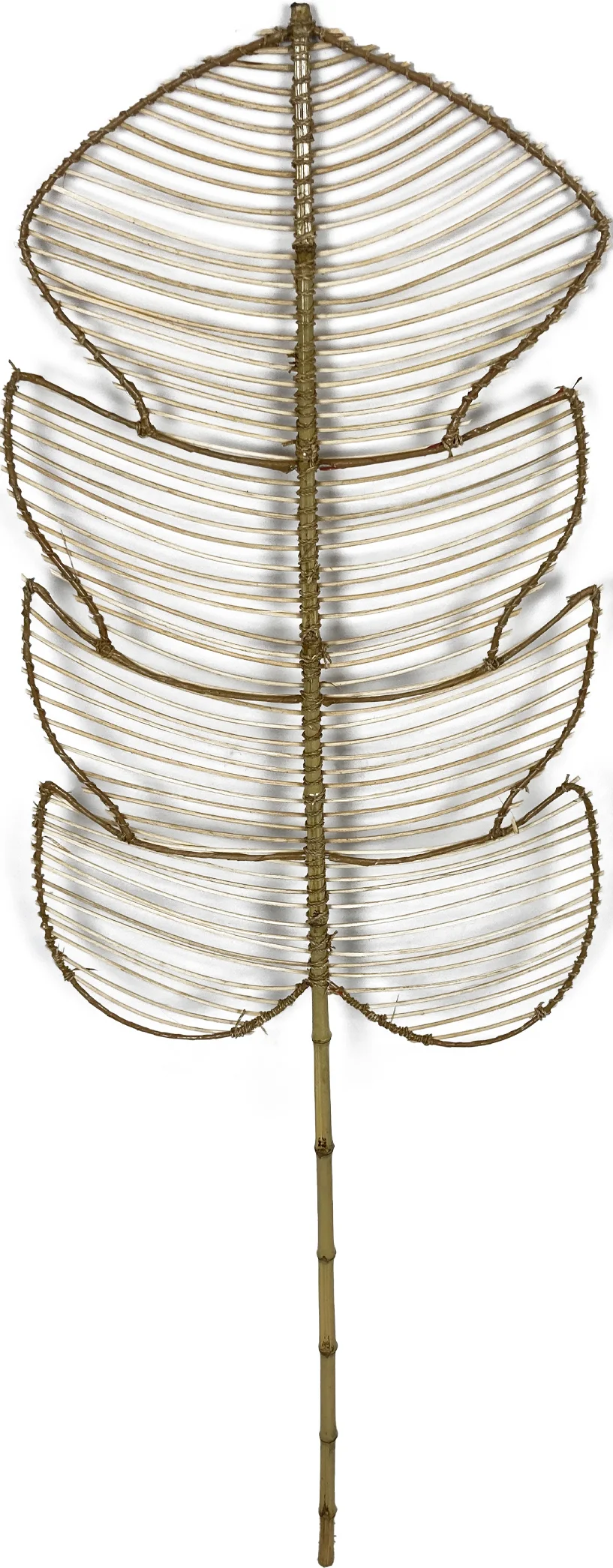 Dijk Natural Collections wandhanger blad naturel 40 x 1,8 x 118 cm