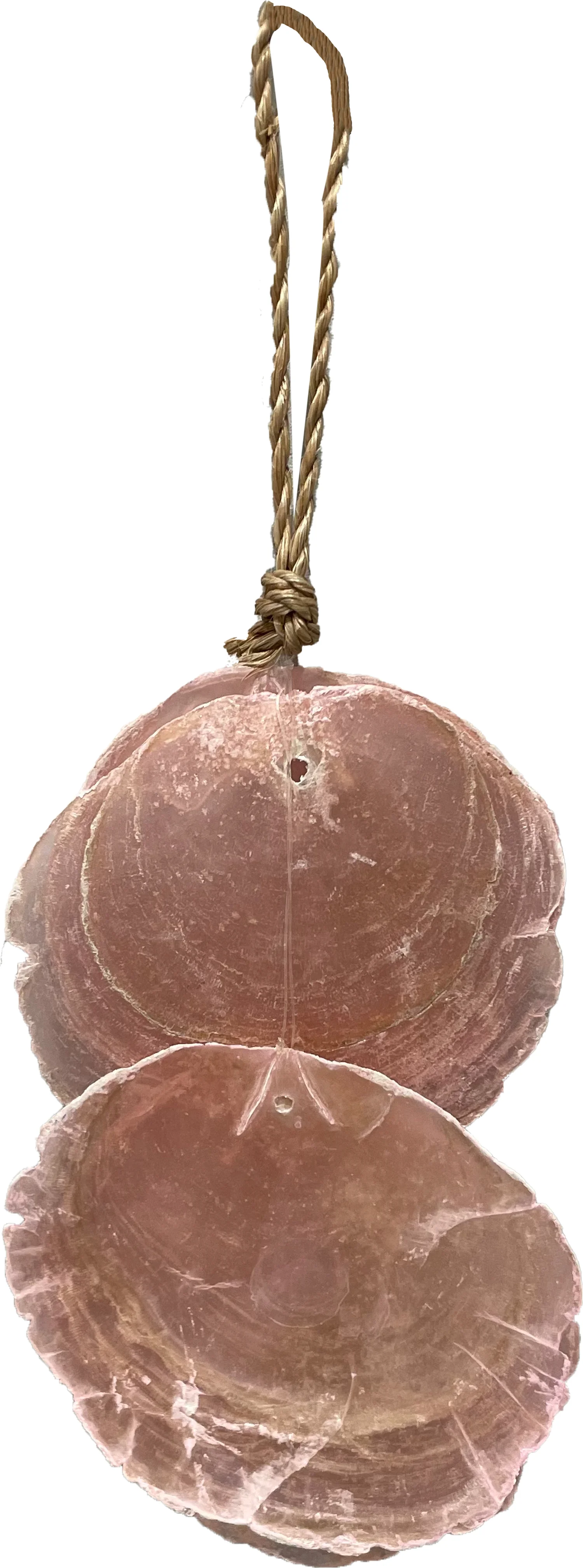 Dijk Natural Collections wandhanger Wilbert roze 8 x 2 x 12 cm