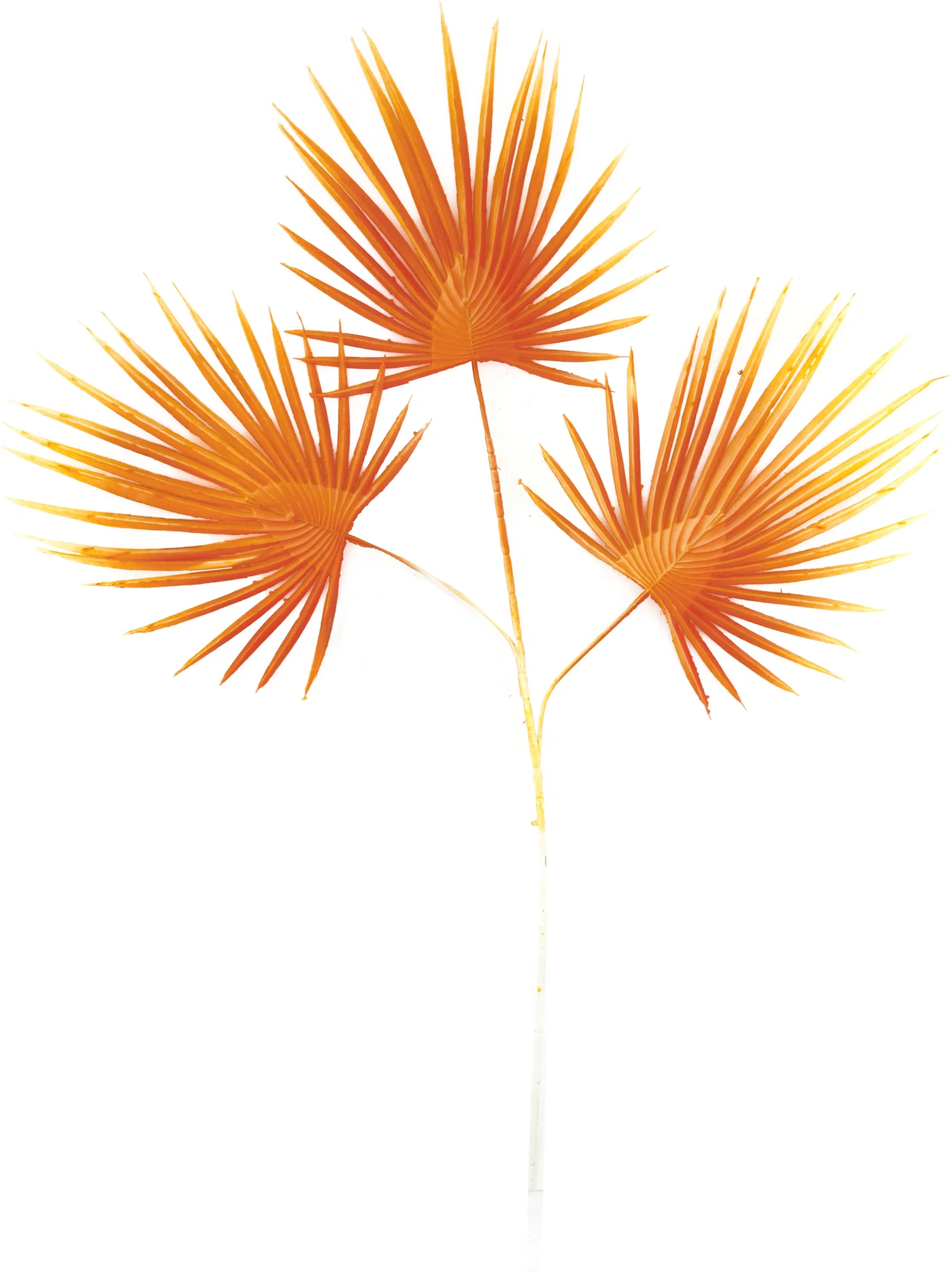 Dijk Natural Collections kunsttak Waaierpalm oranje 70 cm