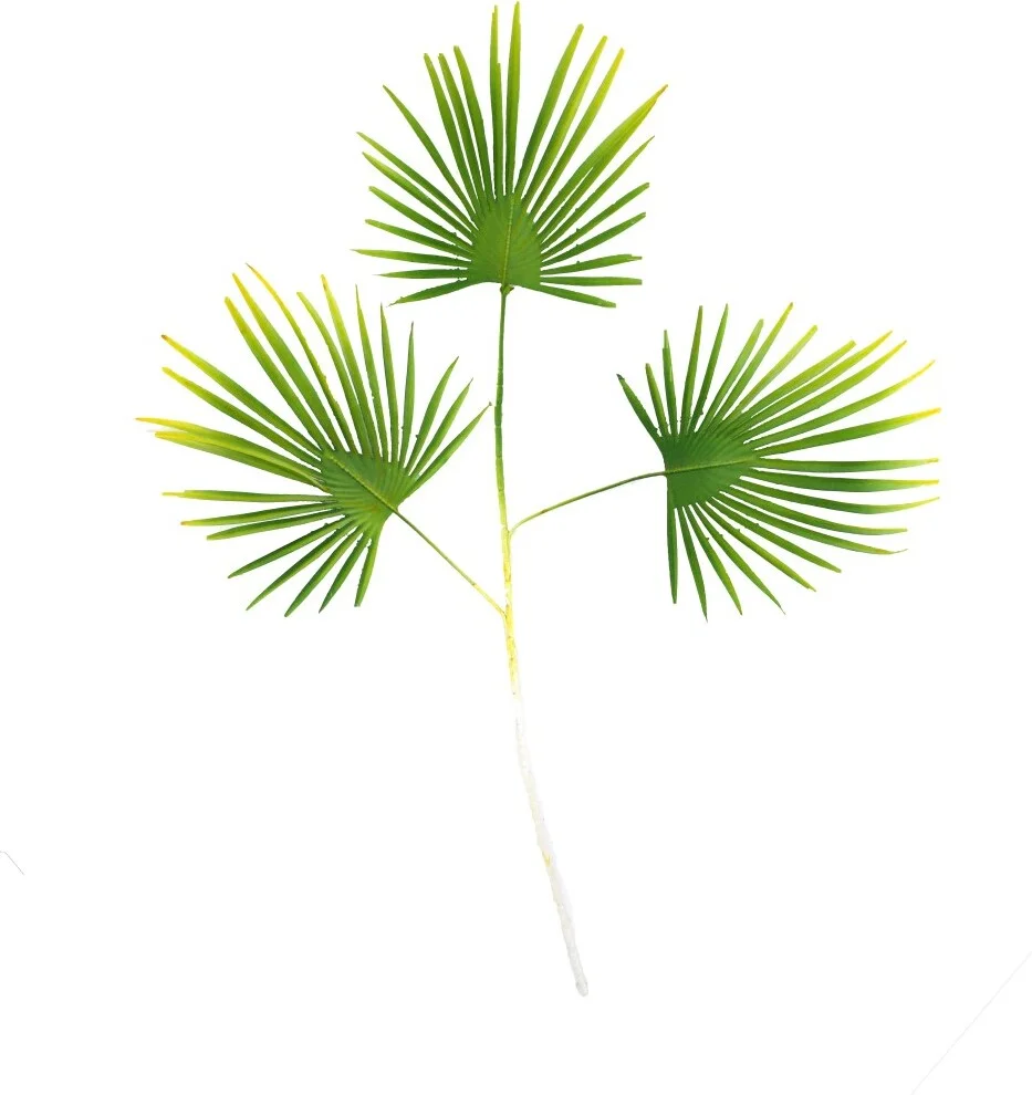 Dijk Natural Collections kunsttak Waaierpalm groen 70 cm