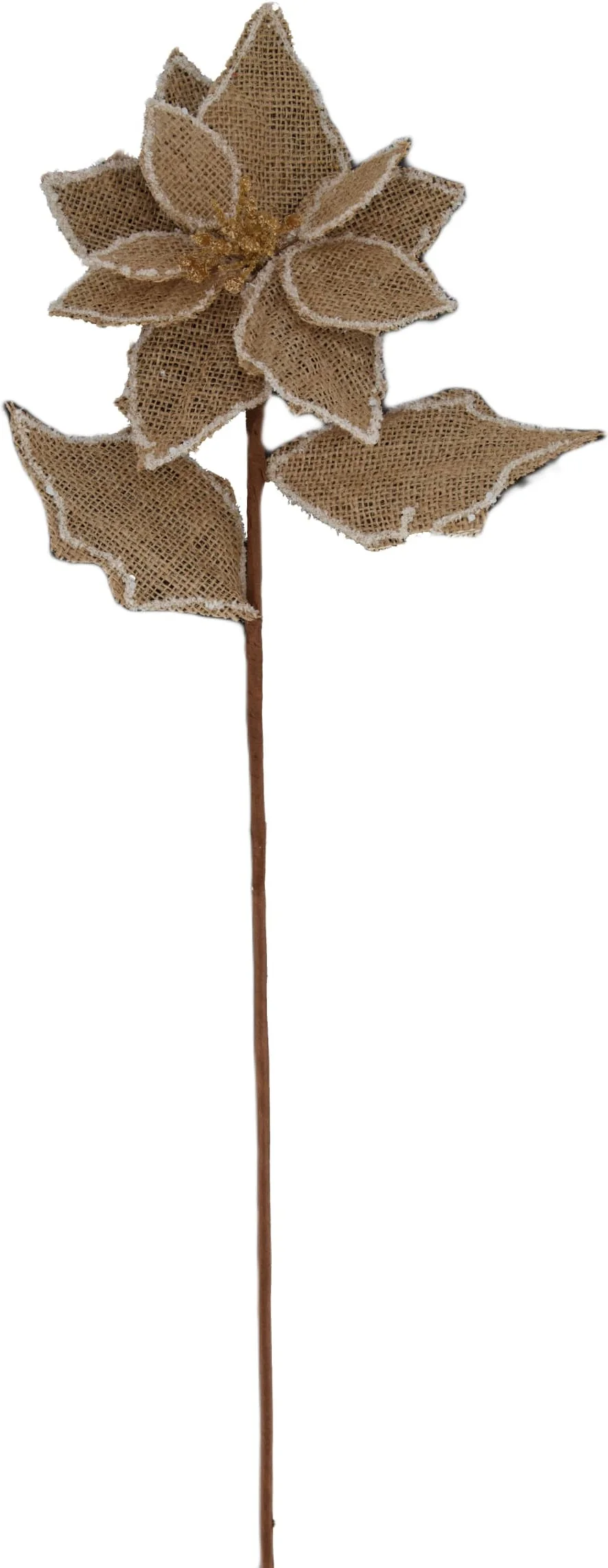 Dijk Natural Collections kunsttak bruin 71 cm