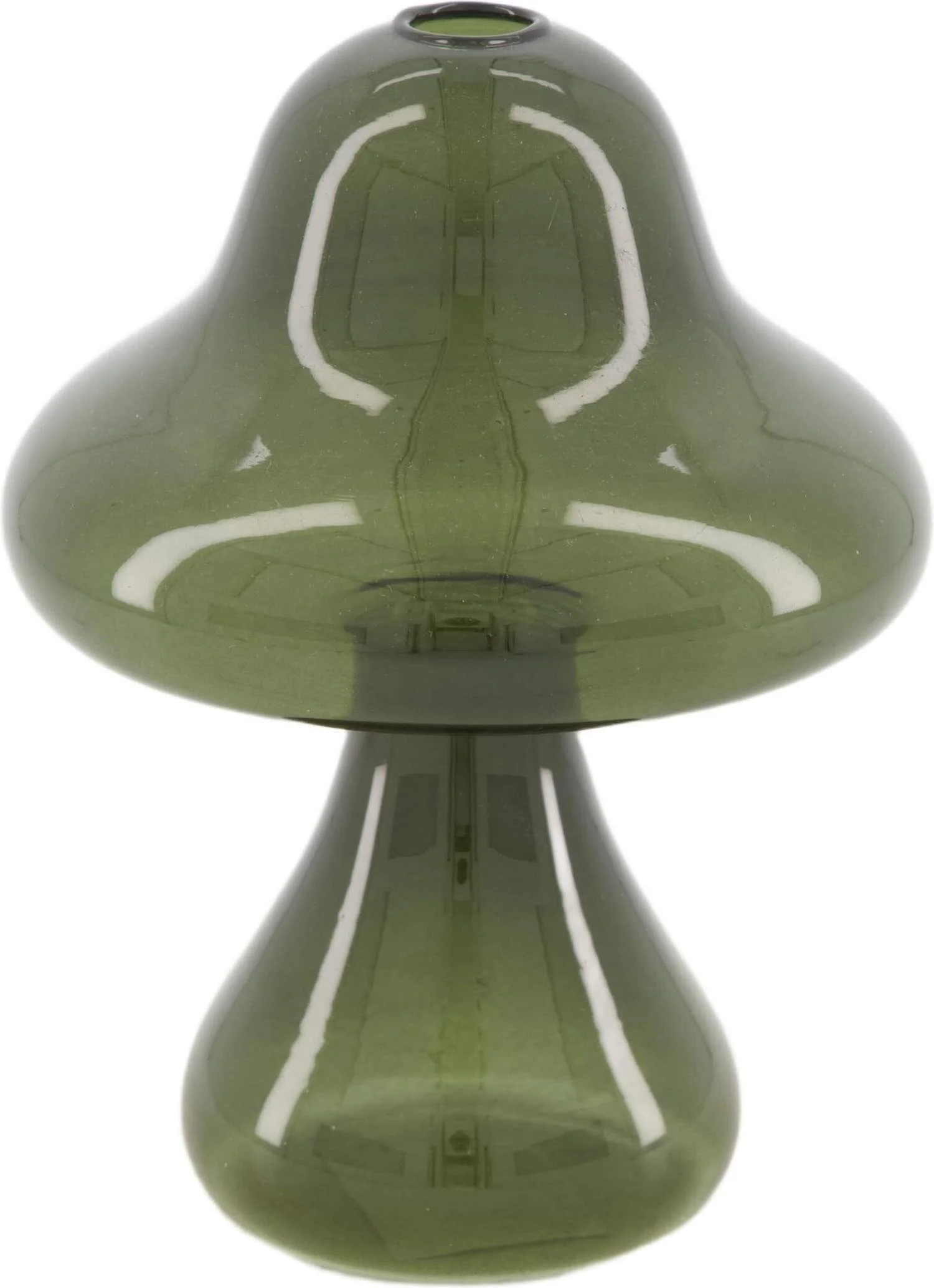Dijk Natural Collections vaas groen D 12 H 16 cm