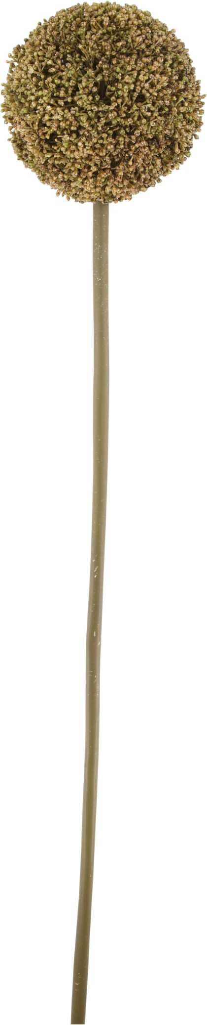 Dijk Natural Collections kunstbloem Sierui bruin 78 cm