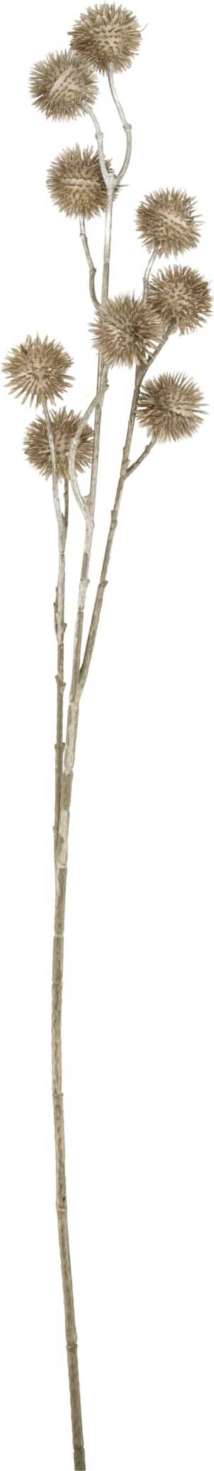 Dijk Natural Collections kunsttak Distel goud D 10 H 78 cm
