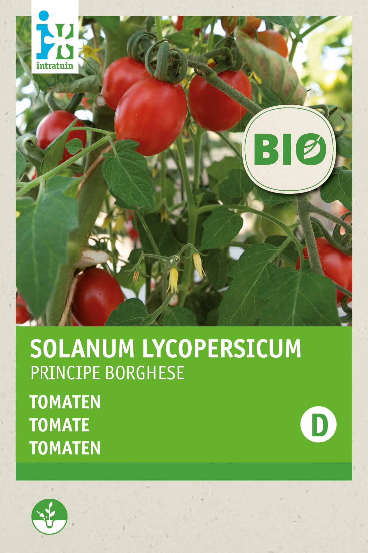 Biologische Intratuin groentezaad tomaat (Solanum Lycopersicum 'Principe Borghese')