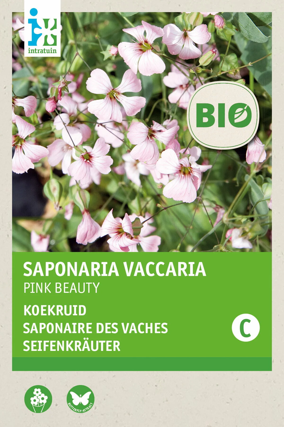 Biologische Intratuin bloemenzaad Koekkruid (Saponaria vaccaria 'Pink Beauty')