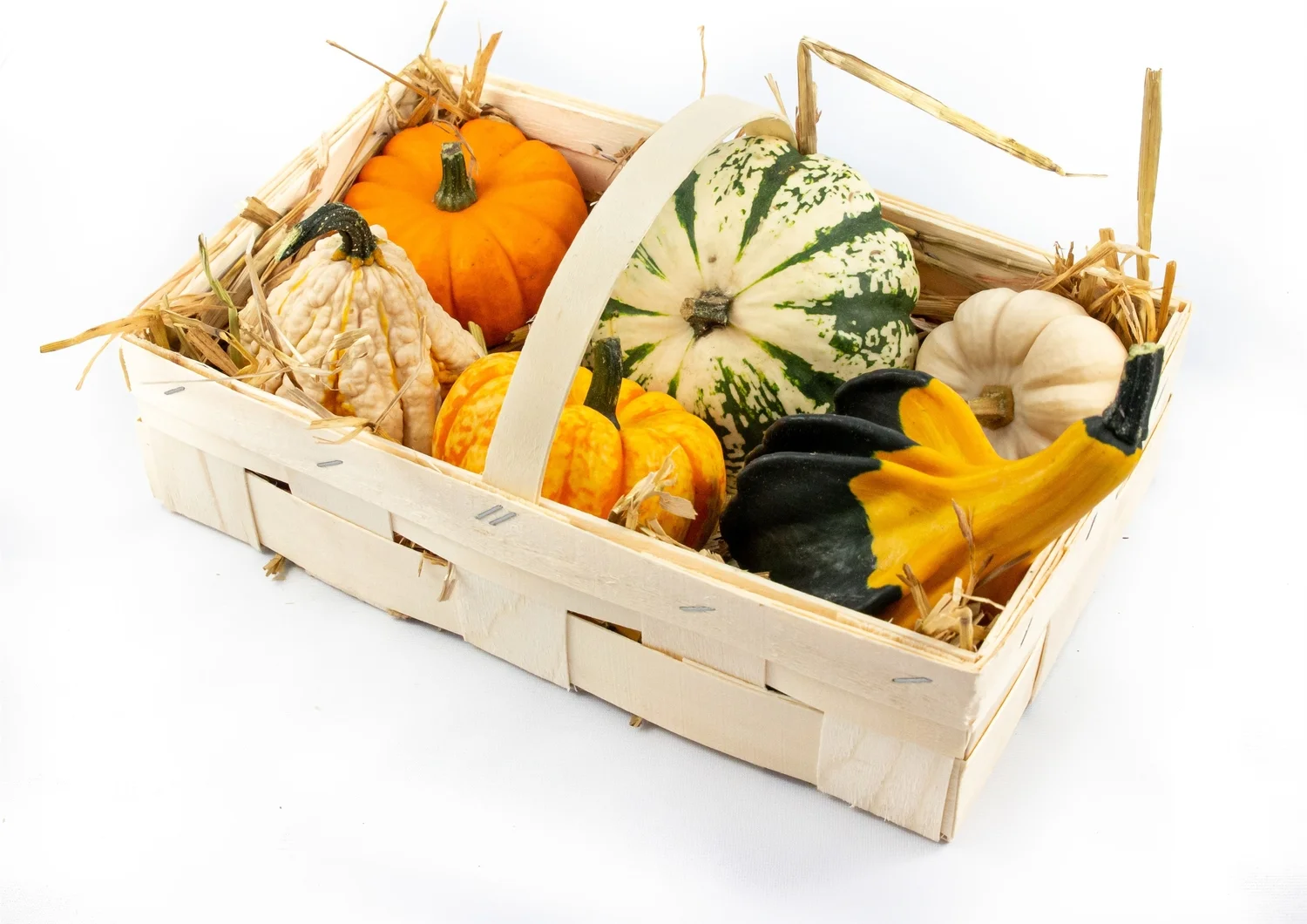 Aardbeienmandje met kalebassen (Cucurbita)