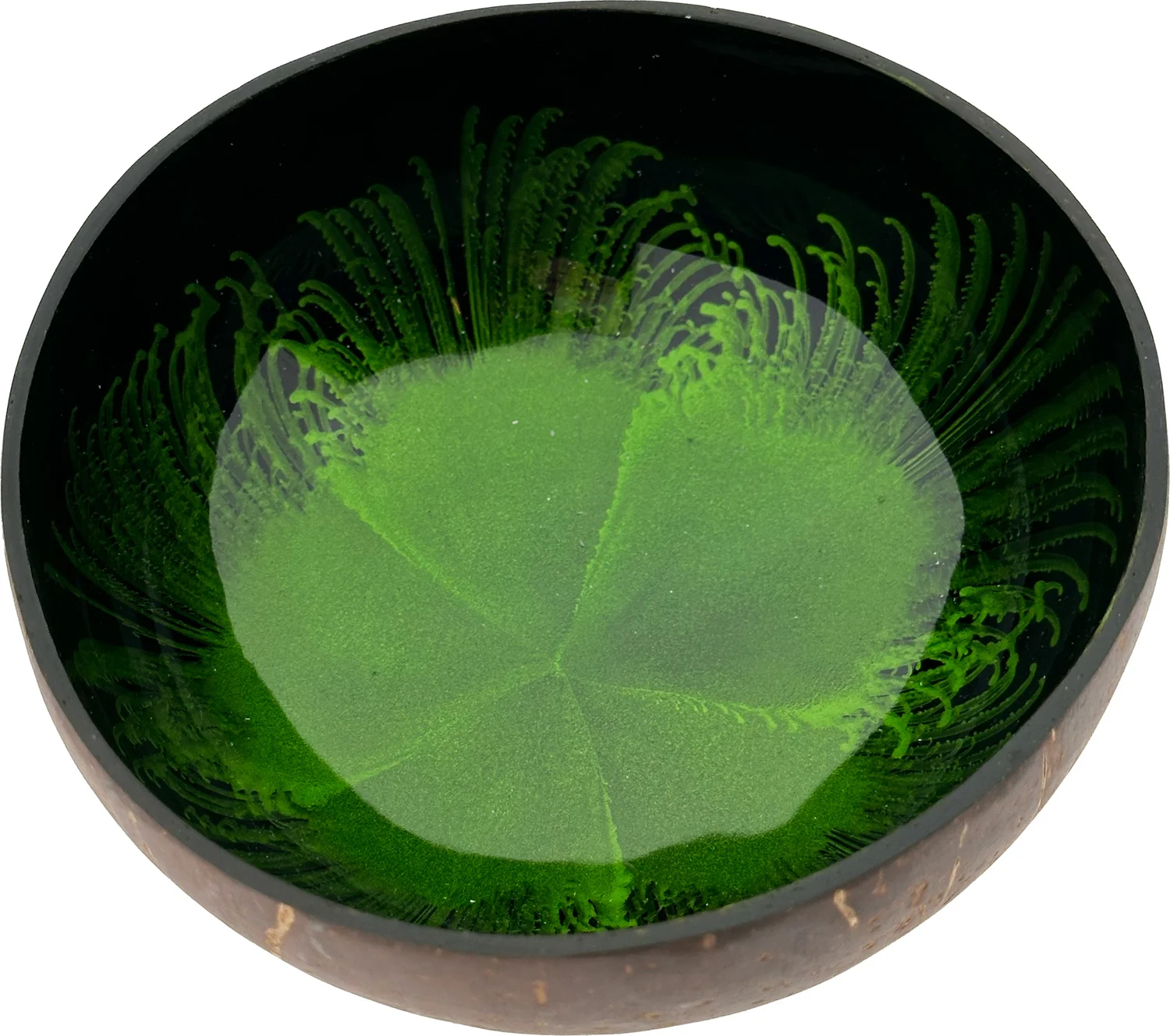 Decoratieschaal Coconut Bowl groen 15 x 13 x 6 cm
