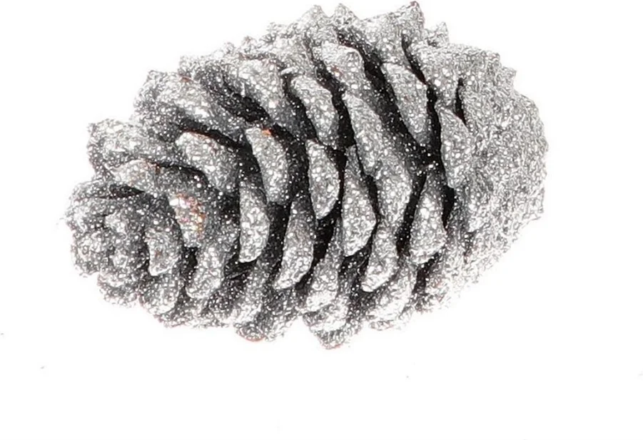 Dennenappel Maritima zilver 10 – 12 cm