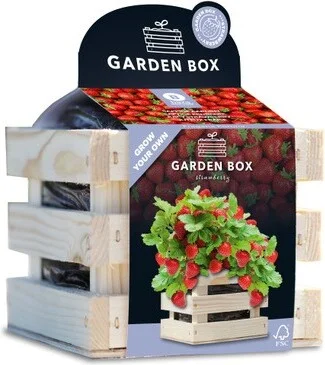 Baza Gardenbox kweekset Aardbei sappig 12 x 11 x 10 cm