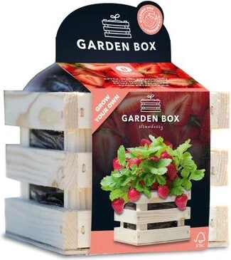 Baza Gardenbox kweekset Aardbei zoet 12 x 11 x 10 cm