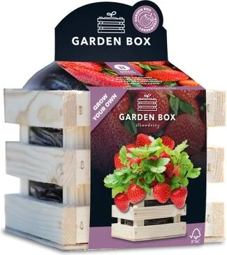 Baza Gardenbox kweekset reuze Aardbei 12 x 11 x 10 cm