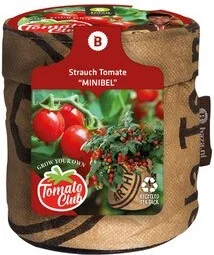 Baza Minituin groentezaad Struiktomaat Minibel D 11 H 12 cm