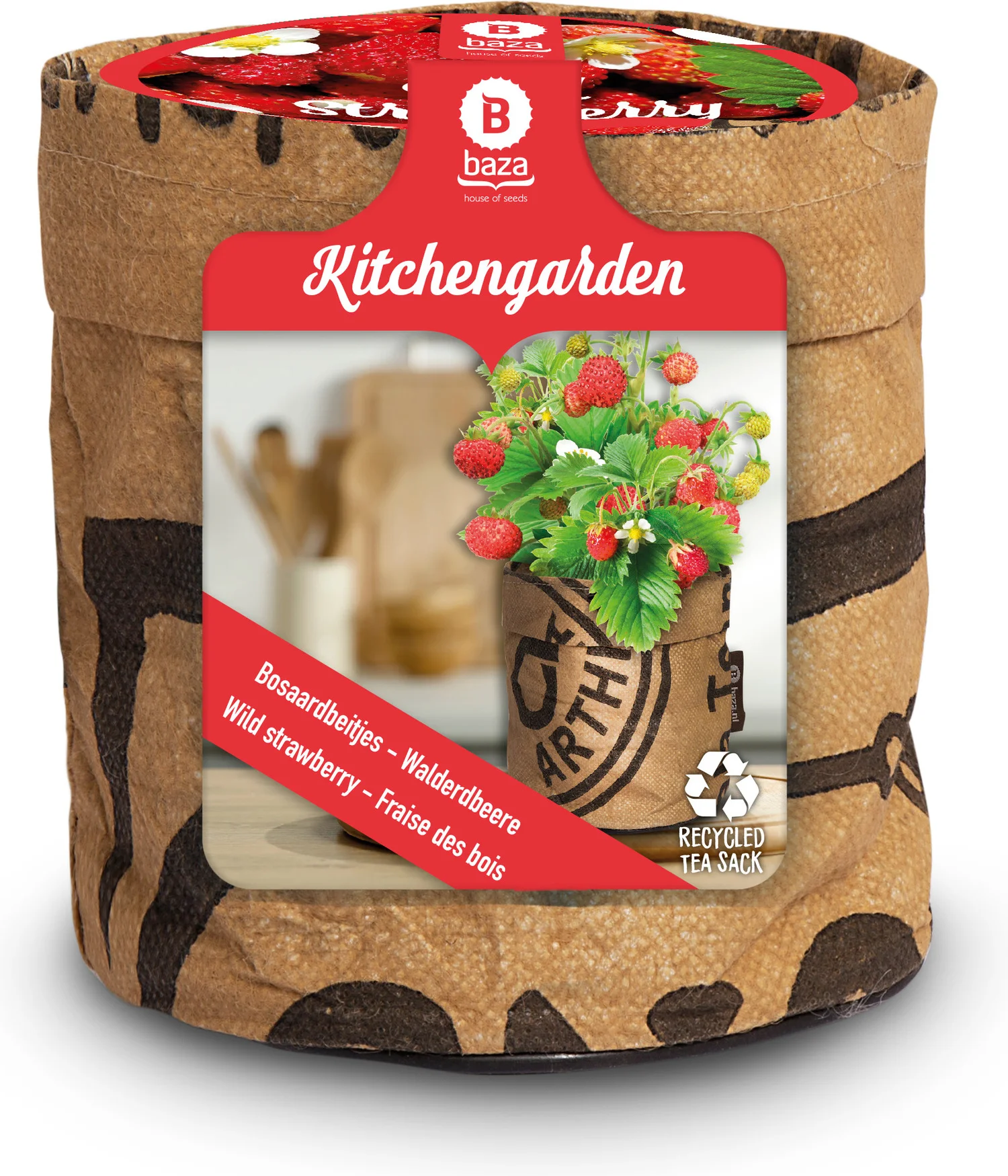 Baza Aardbei tuinkeukentje Bosaardbei (Fragaria vesca)