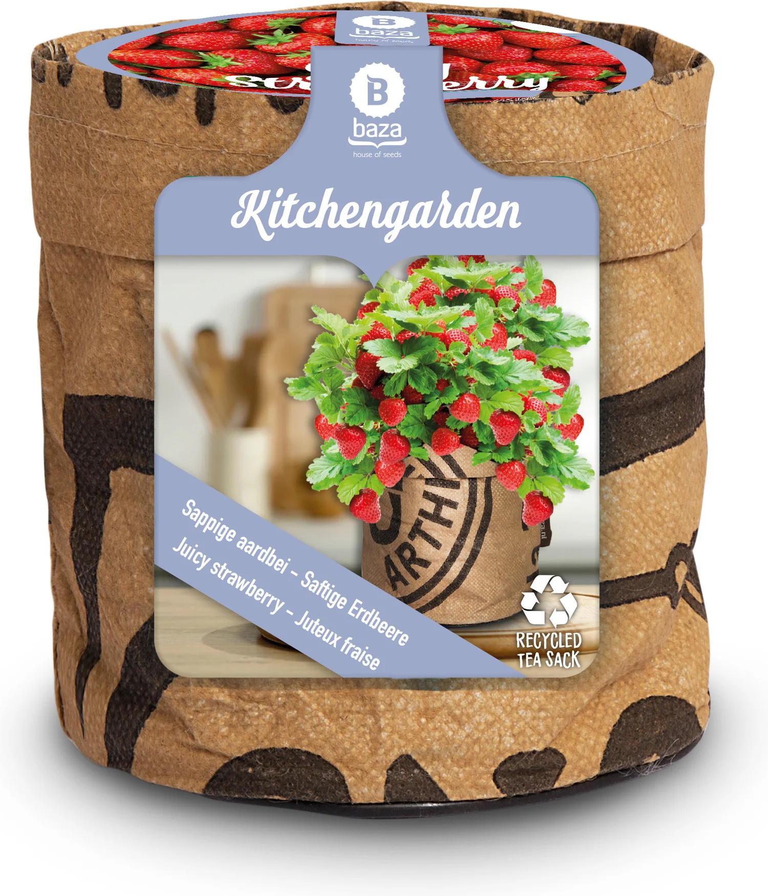 Baza Aardbei tuinkeukentje sappige Aardbei (Fragaria)