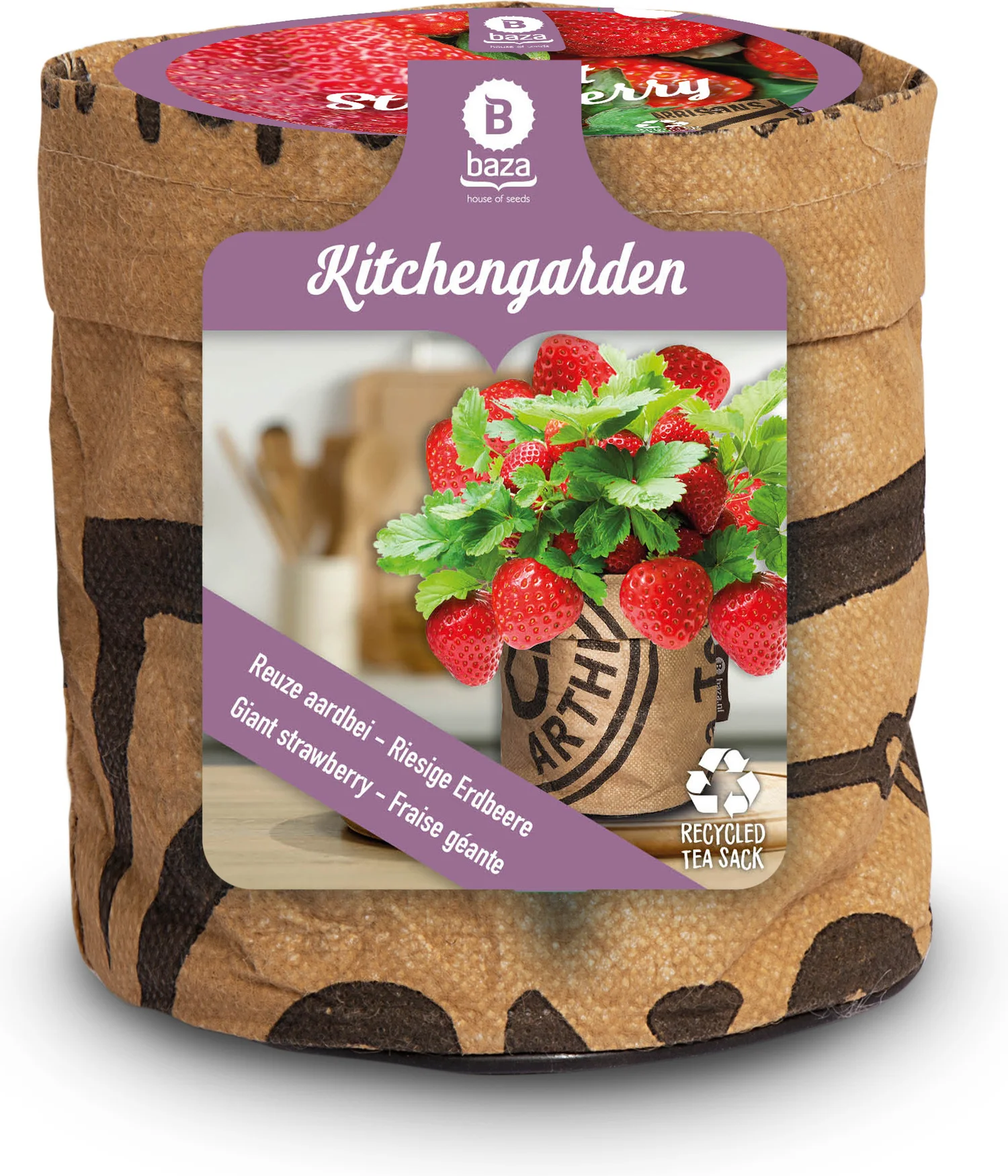 Baza Aardbei tuinkeukentje Reuze Aardbei (Fragaria)