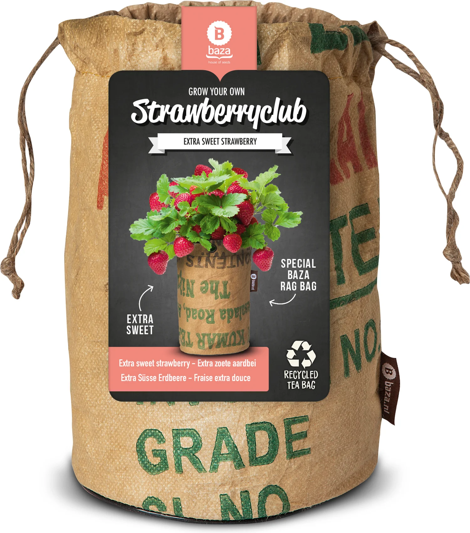 Baza Seeds Extra zoete Aardbei in buidel (Fragaria x ananassa) 15 x 15 x 22,3 cm