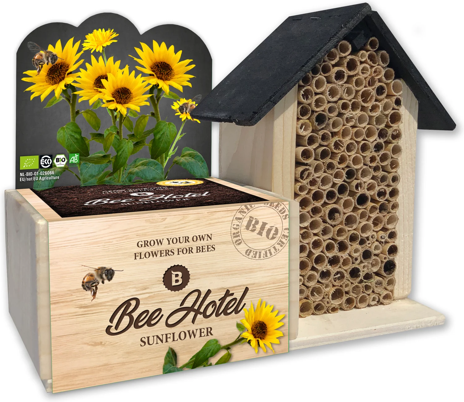 Baza Bee Hotel biologische Zonnebloem (Helianthus) met insectenhotel