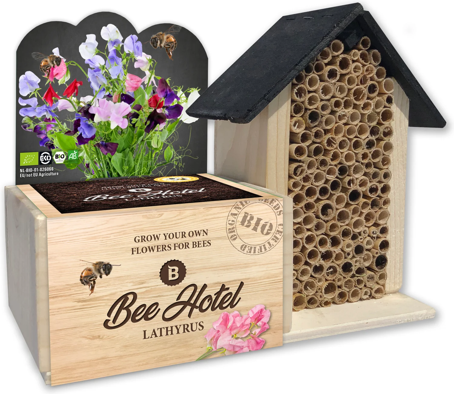 Baza Bee Hotel biologische Prachtboon (Lathyrus) met insectenhotel