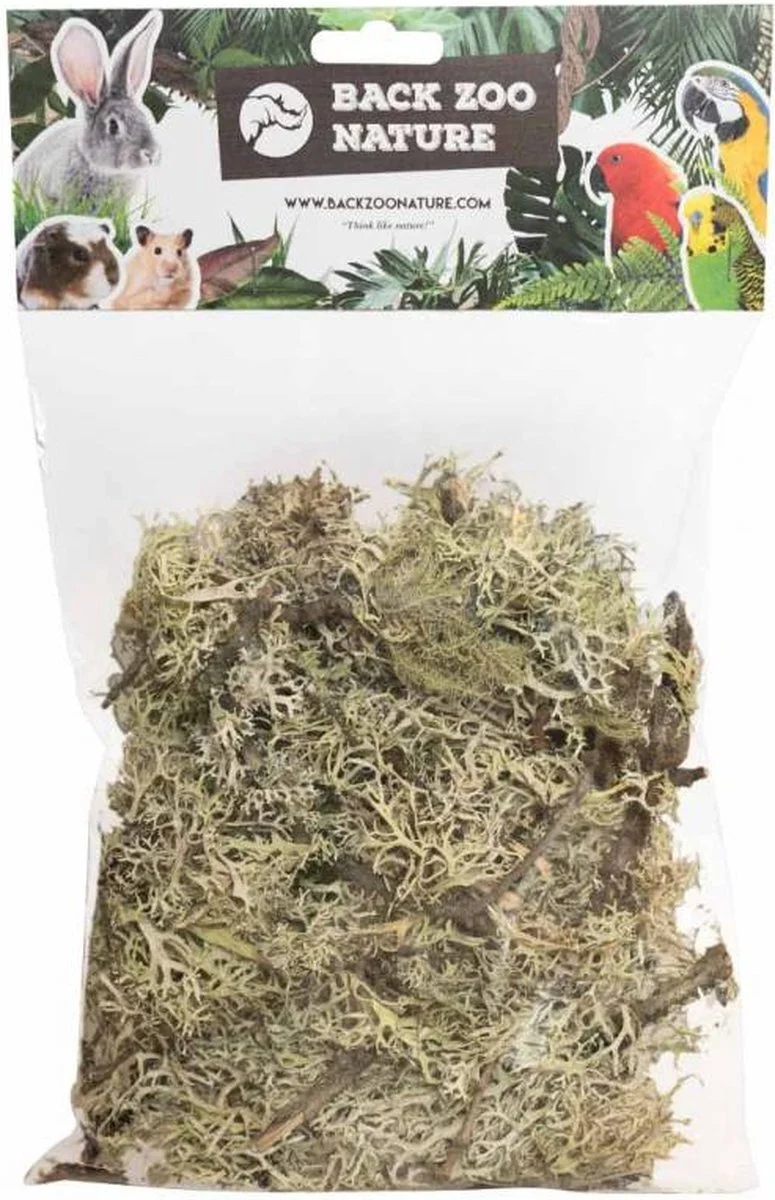 Back Zoo Nature bodembedekking Discovery Branch Moss 50 g